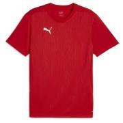 teamFINAL Training Jersey PUMA Red-PUMA Silver