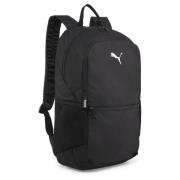 teamGOAL Backpack with ball net PUMA Black