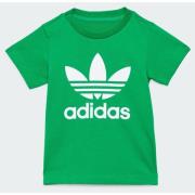 Adidas Original Trefoil Kids T-shirt